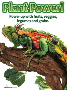 plantp Free Nutrition Poster Contest