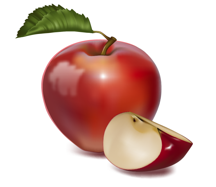 clipart fruit apple - photo #14
