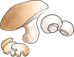 More mushrooms!