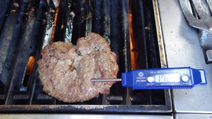 Thermometers and a Burger