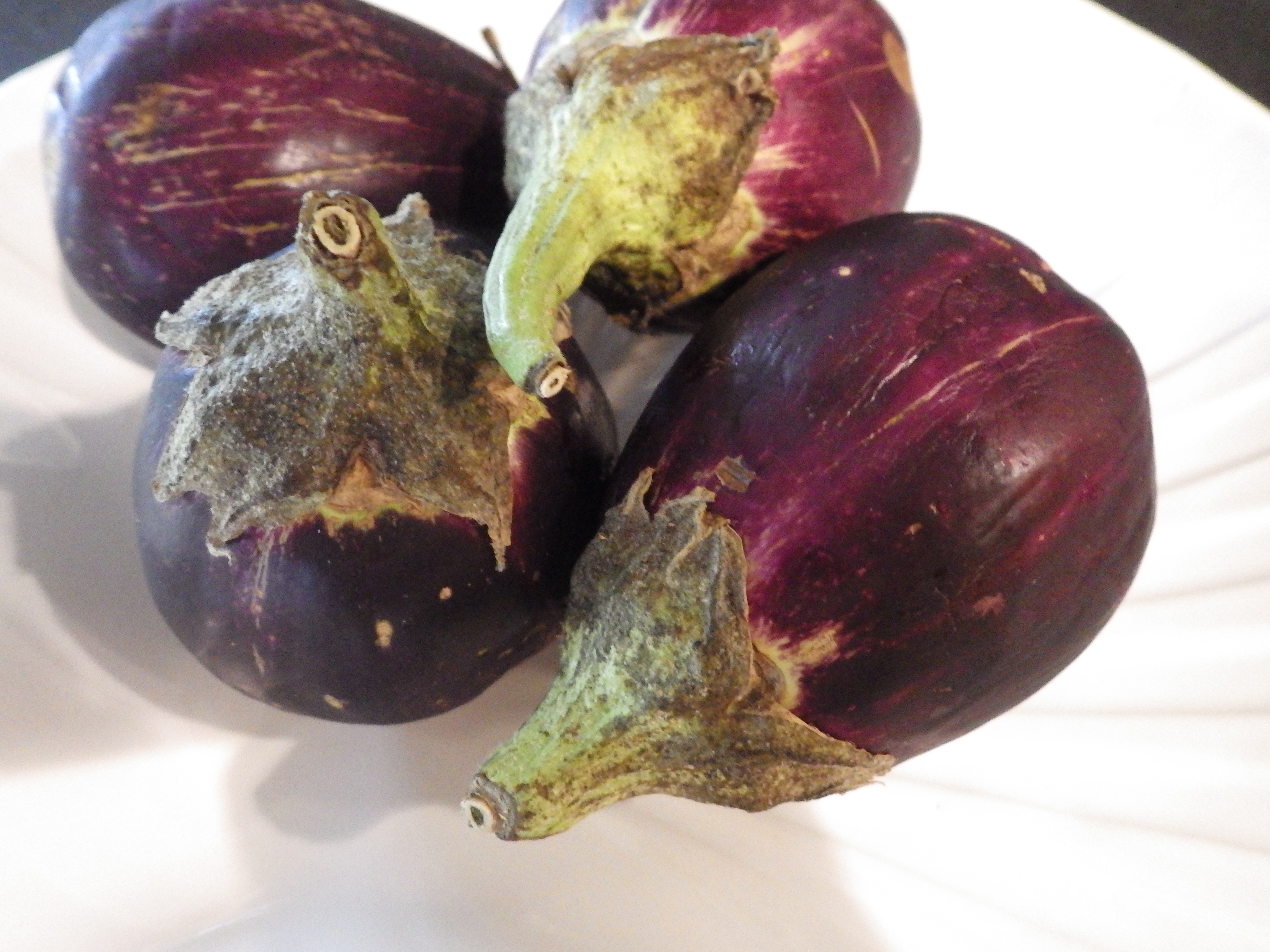 Eggplant Cooking Tips | nutritioneducationstore.com