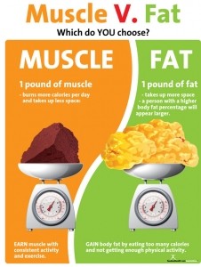 Muscle vs Fat Poster