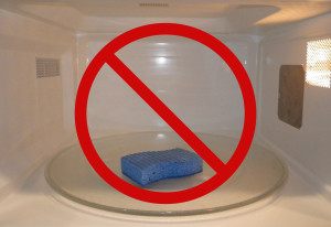 Don't Put Your Sponge in the Microwave
